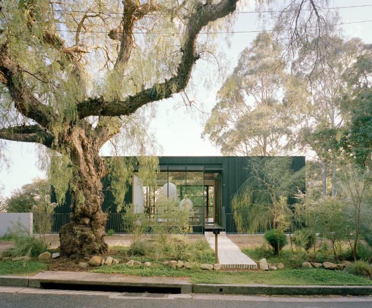 TRIAS renovates mid century home into Cloaked House
