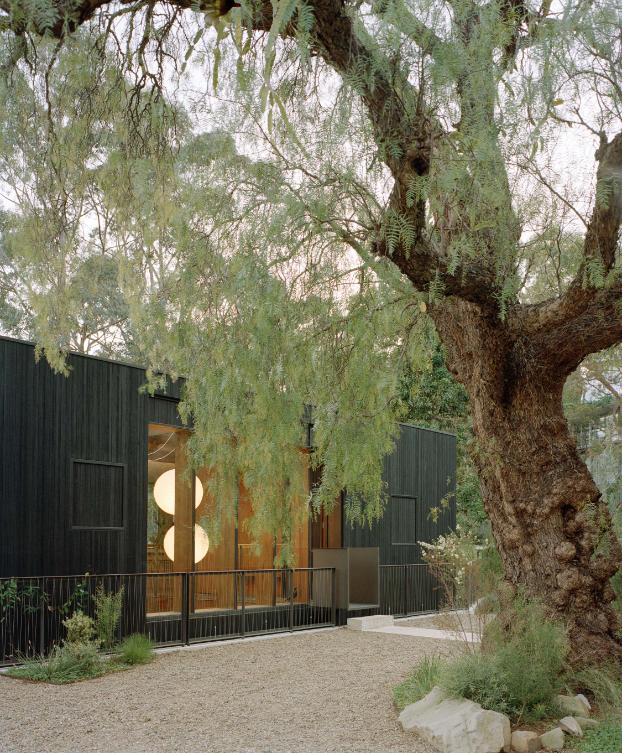 TRIAS renovates mid century home into Cloaked House Timber clad facade of Cloaked House exterior view