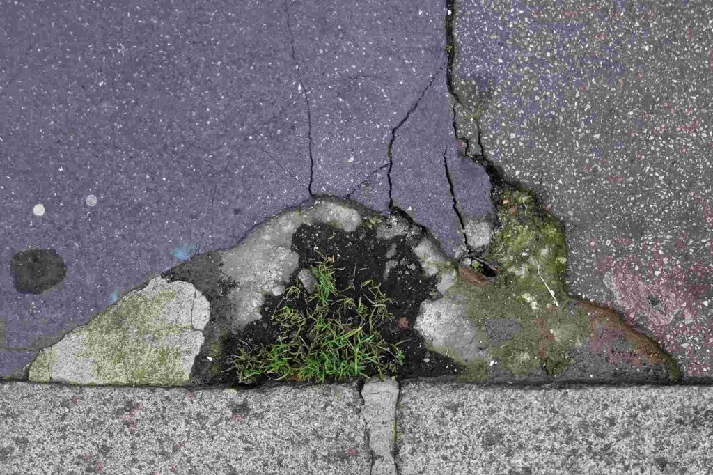 Interview with Ememem on the poetic art of healing the street -