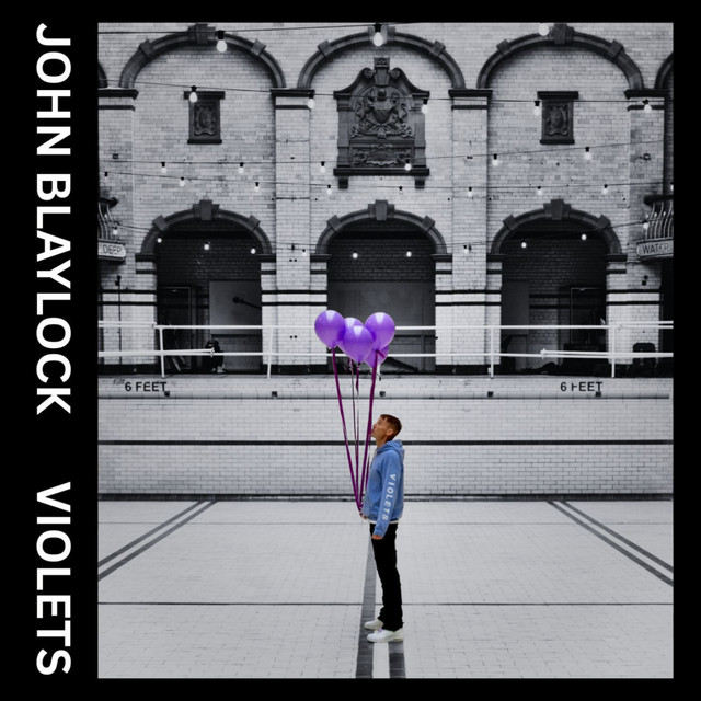 Cover artwork for John Blaylock track "Violets".
