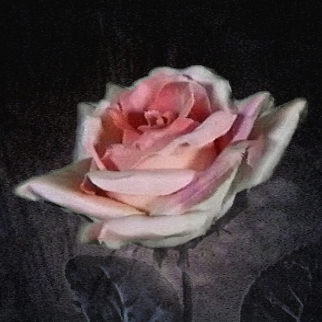 Cover artwork for Pearly Drops track "Heaven".