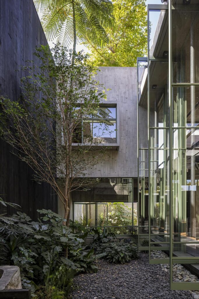 Taller Di Frenna Arquitectos studio in Colima as a built manifesto of practice -