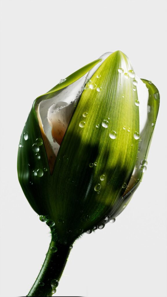 Fluid Matters by La Boom turns sensation into luminous digital form -