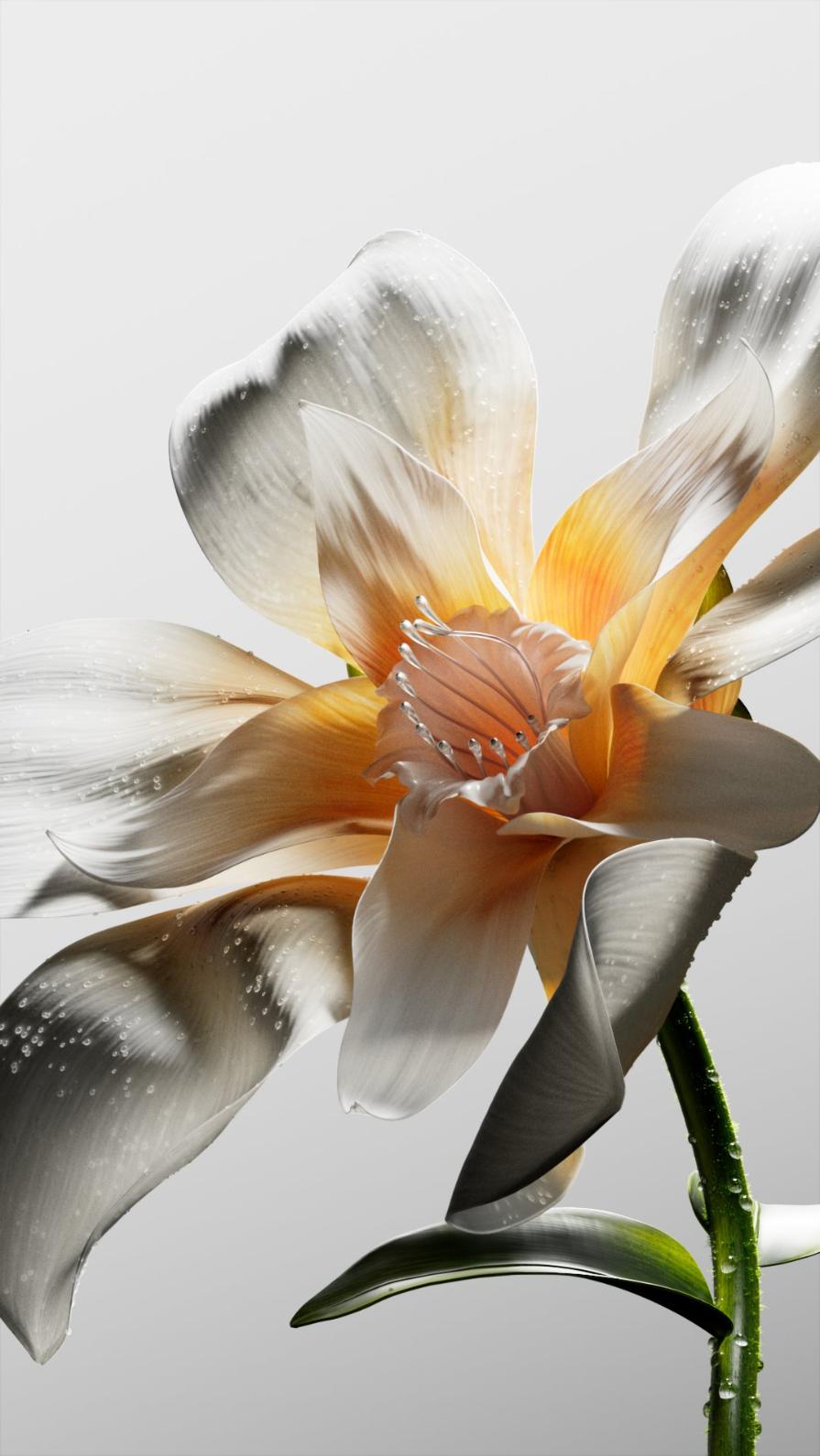 Fluid Matters by La Boom turns sensation into luminous digital form