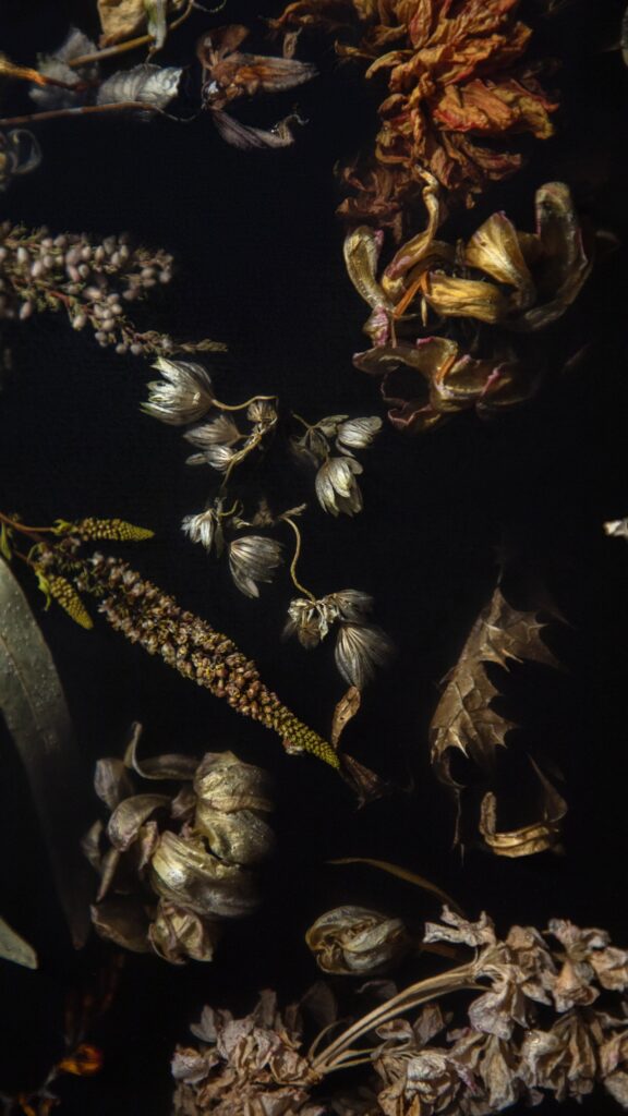 Marcin Rusak rethinks botanical preservation at Milan Design Week 2026 -