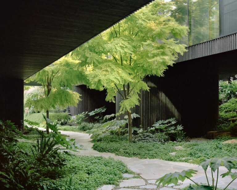 Edition Office designs House in a Garden in Melbourne embedded in landscape Edition Office designs House in a Garden in Melbourne embedded in landscape