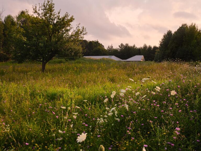 Superkül integrates Ridge House with landscape through sloping roof Superkül integrates Ridge House with landscape through sloping roof