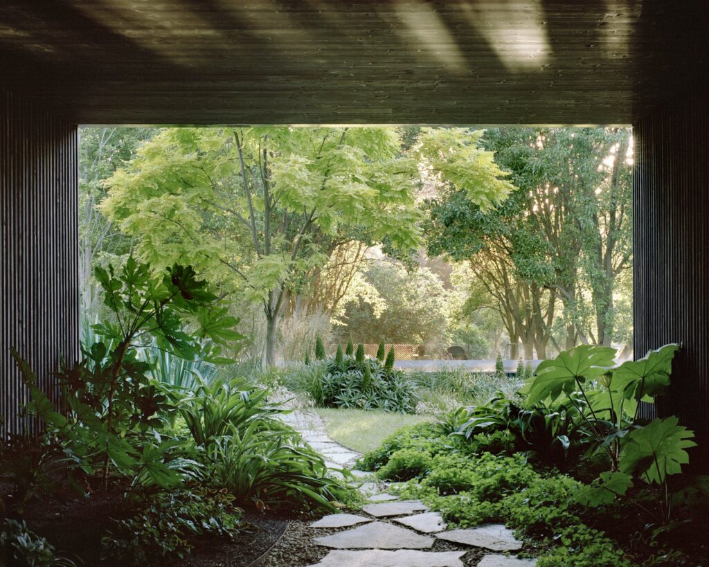 Edition Office designs House in a Garden in Melbourne embedded in landscape -