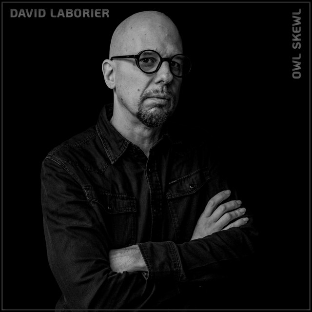 David Laborier: Owl Skewl.