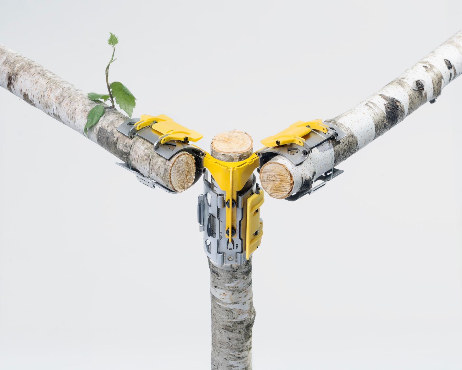 Omnibite self building system transforms raw branches into structure
