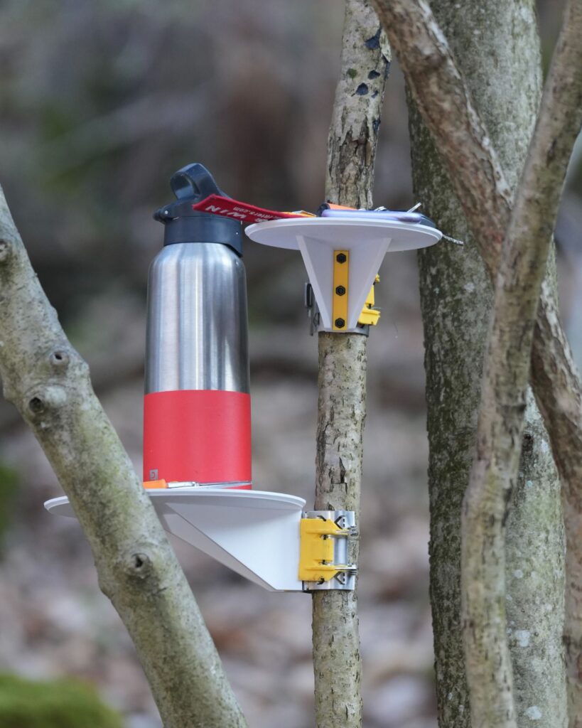 Omnibite system applied to small-scale structure using local Lombardy wood