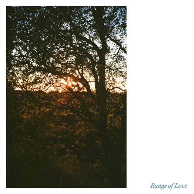 Jenny Gillespie Mason: Rungs of Love. Jenny Gillespie Mason: Rungs of Love.