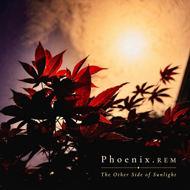 Introducing: Phoenix.REM Introducing: Phoenix.REM