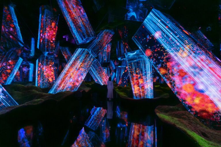 Interview with teamLab on immersive art and the collective perception