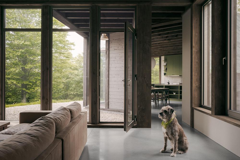 Timber-framed living room opening onto the surrounding landscape