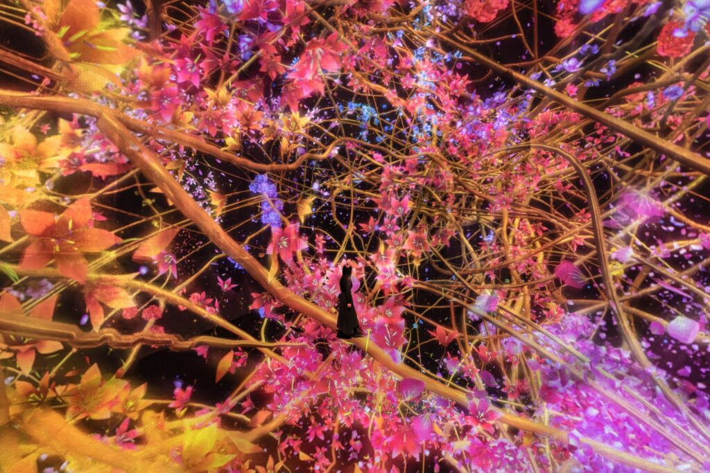 Interview with teamLab on immersive art and collective perception -