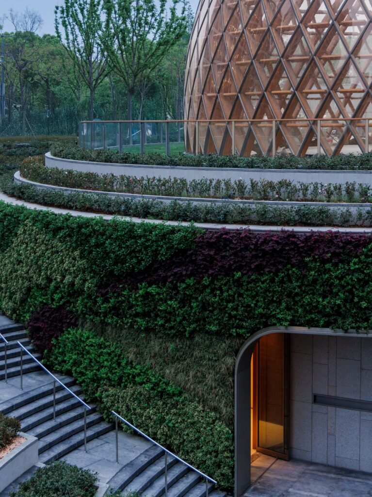Wutopia Lab shapes underground gallery as root system -