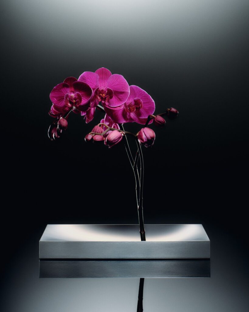 Luis Frey designs Khora Vase to hold one flower