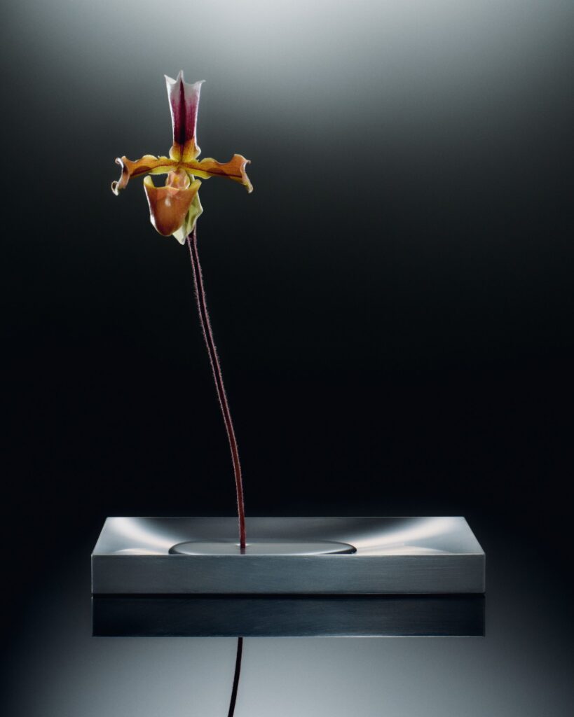 Luis Frey designs Khora Vase to display a single flower -