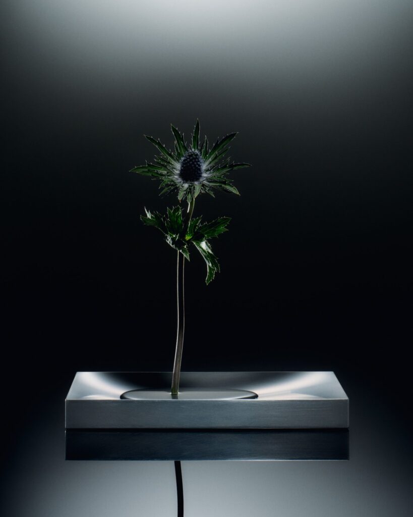 Luis Frey designs Khora Vase to display a single flower -