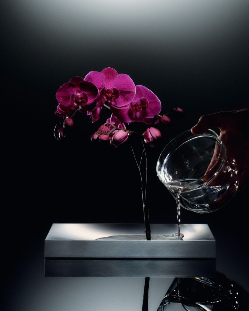 Luis Frey designs Khora Vase to display a single flower -