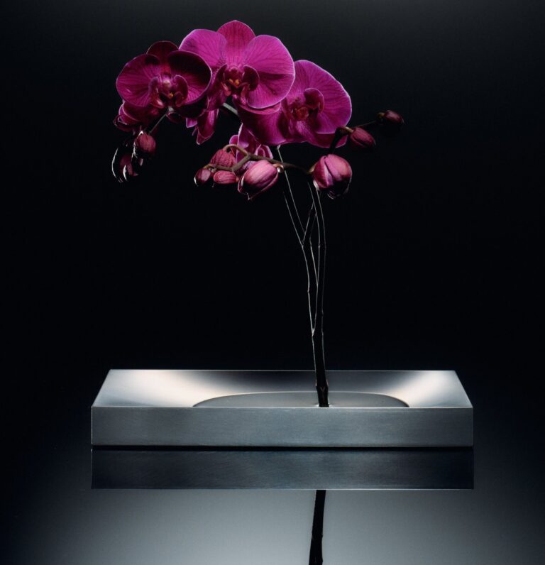Luis Frey designs Khora Vase to display a single flower Luis Frey designs Khora Vase to display a single flower