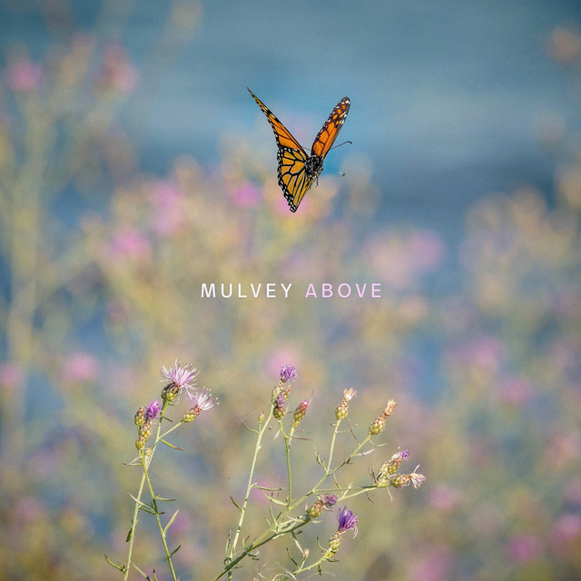 MULVEY: Above MULVEY: Above