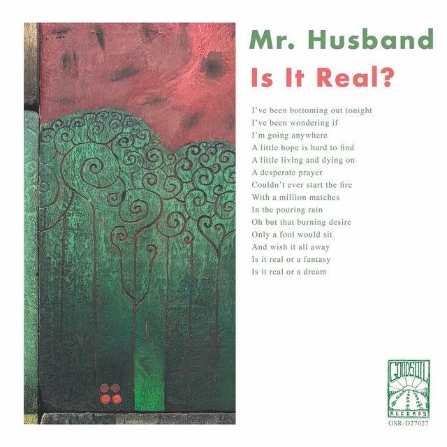 Mr. Husband: Is It Real? Mr. Husband: Is It Real?