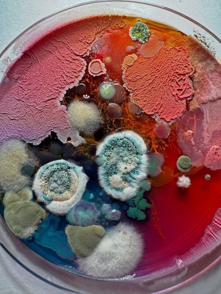 Interview with Dasha Plesen on Bio Art and Creative Freedom