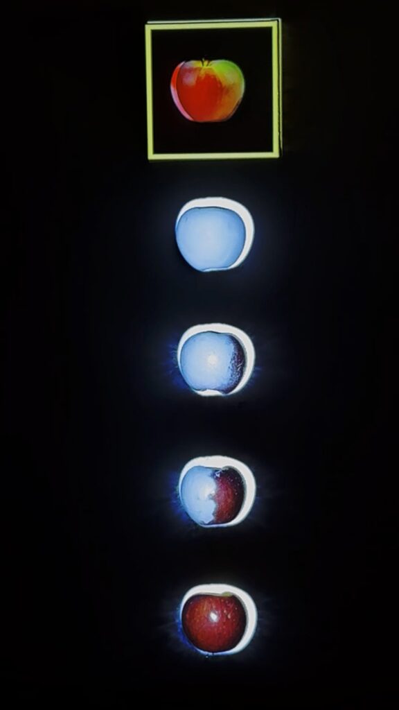 Rui Yang revisits Eden through AI generated apples -