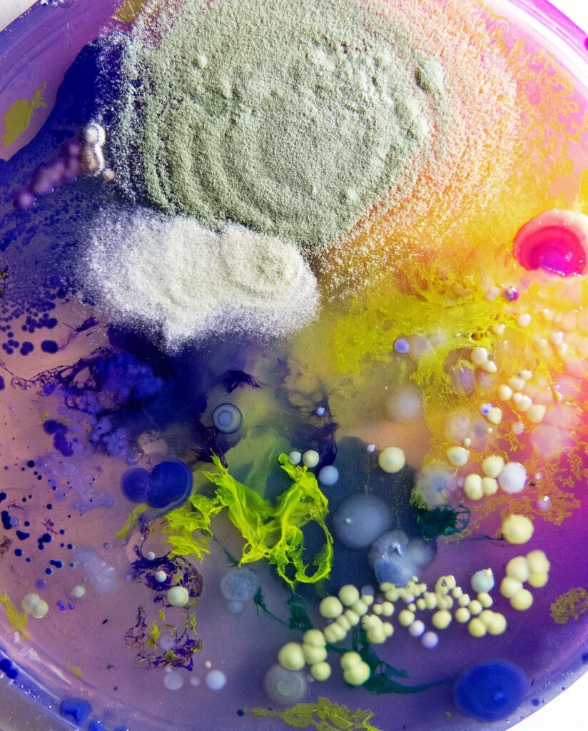 Interview with Dasha Plesen on Bio Art and Creative Freedom -
