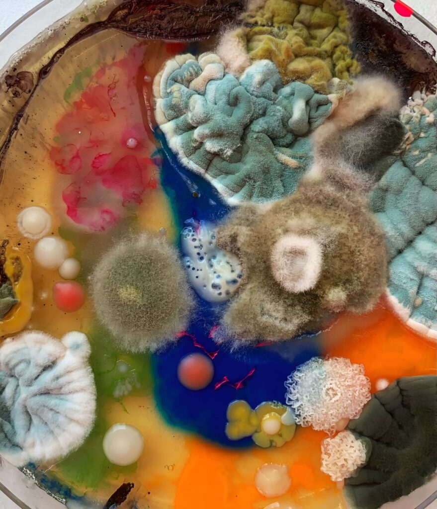 Interview with Dasha Plesen on Bio Art and Creative Freedom