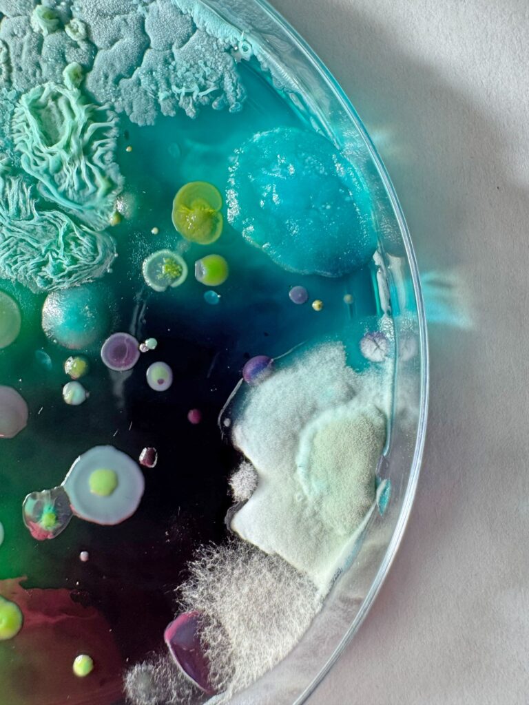 Interview with Dasha Plesen on Bio Art and Creative Freedom -