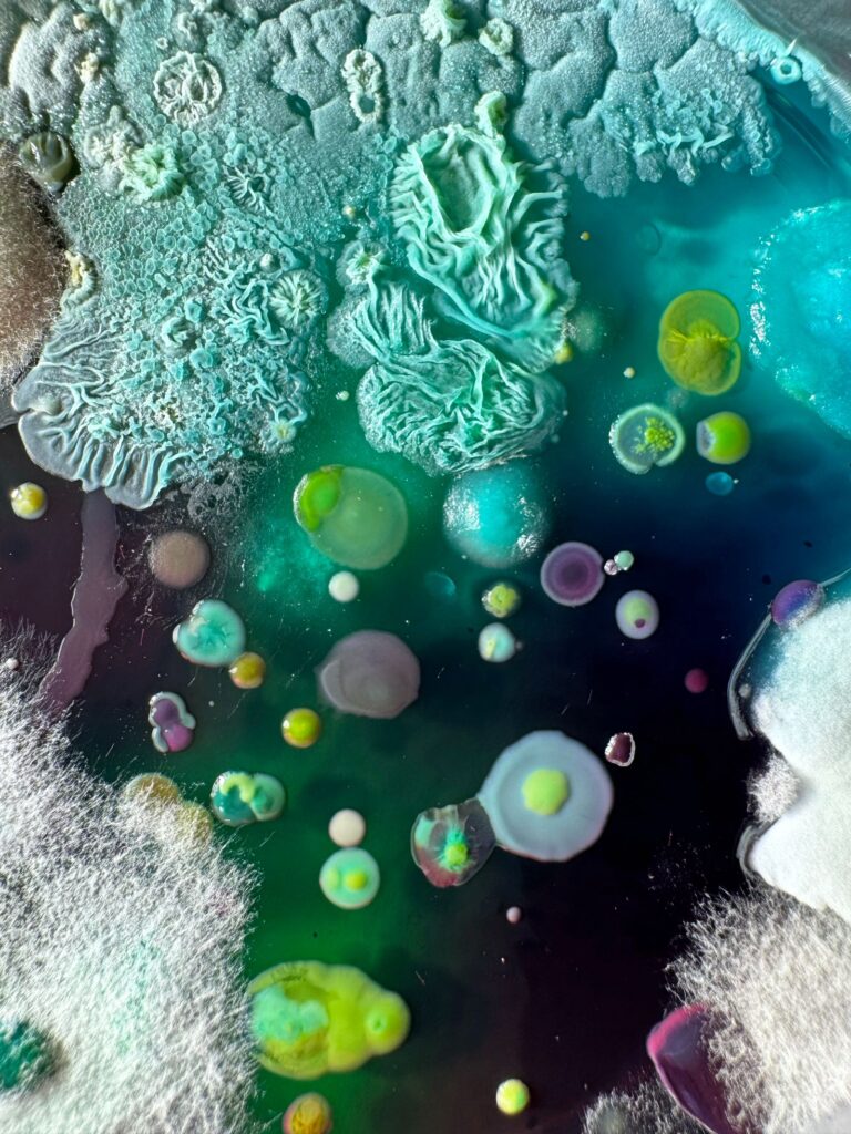 Interview with Dasha Plesen on Bio Art and Creative Freedom -