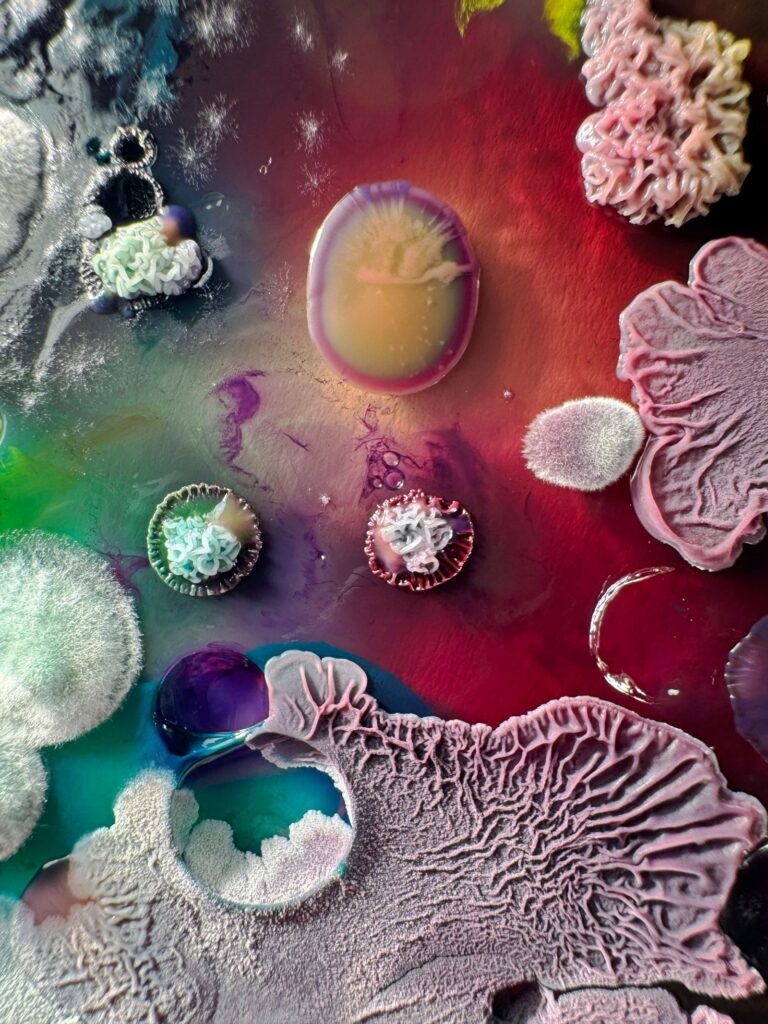 Interview with Dasha Plesen on Bio Art and Creative Freedom -