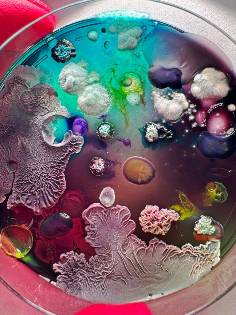 Interview with Dasha Plesen on Bio Art and Creative Freedom -