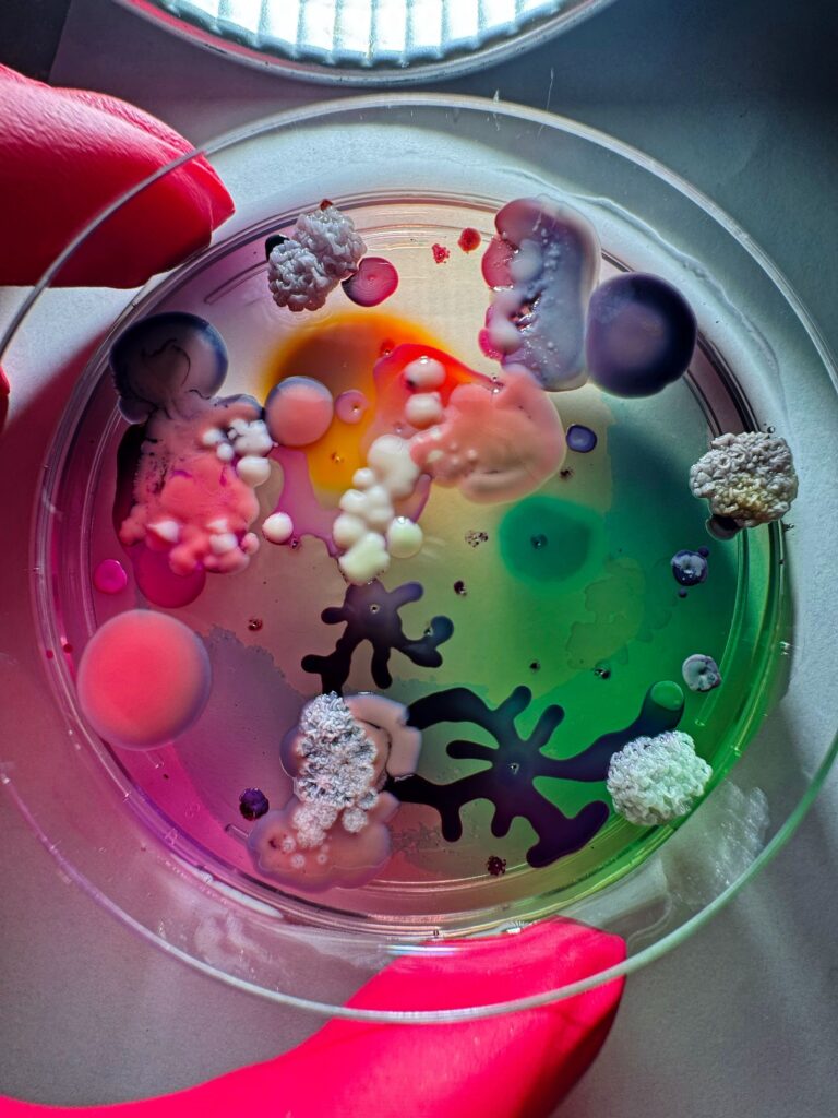 Interview with Dasha Plesen on Bio Art and Creative Freedom -