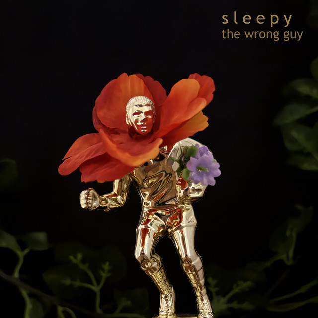 Sleepy: The Wrong Guy Sleepy: The Wrong Guy