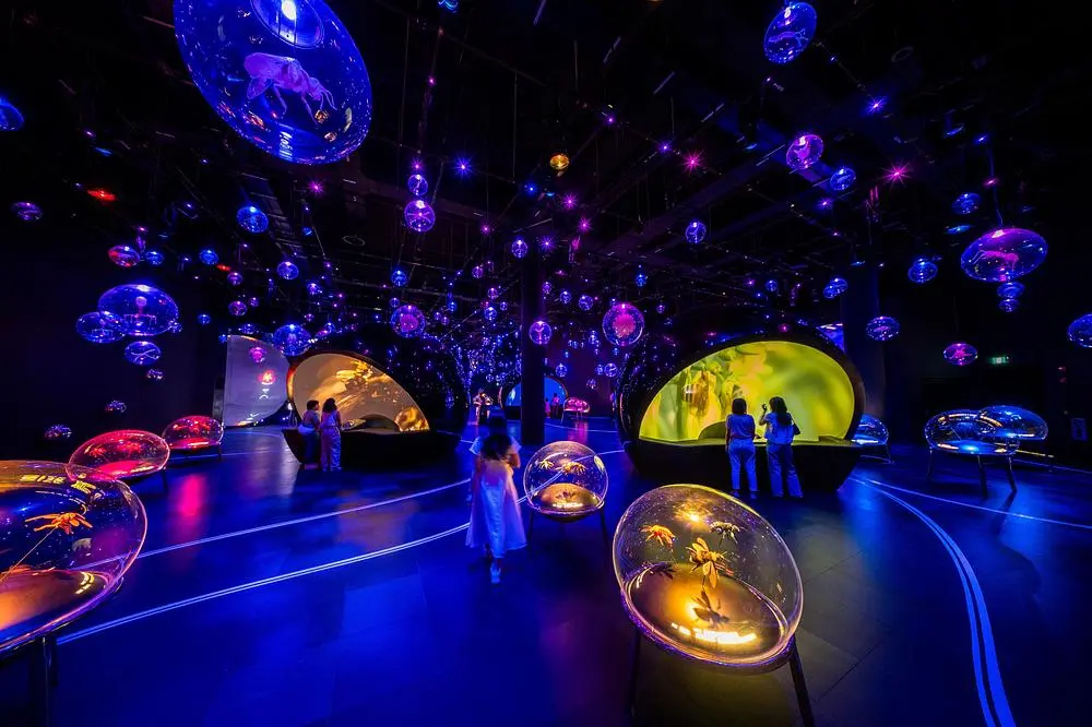 Exploria brings inaccessible nature to life at Mandai Wildlife Reserve 1