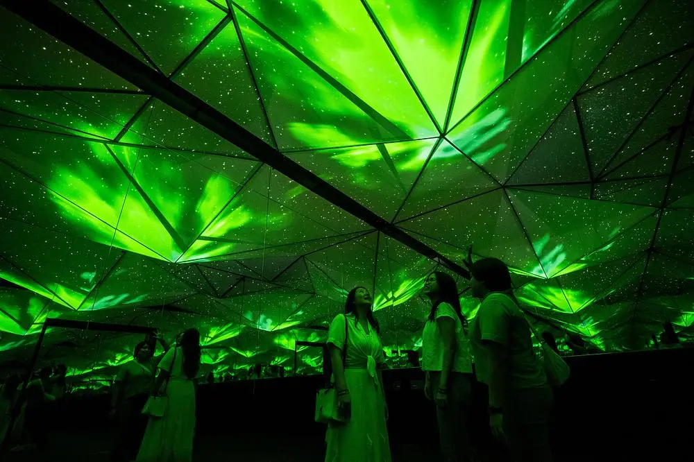 Exploria brings inaccessible nature to life at Mandai Wildlife Reserve 5