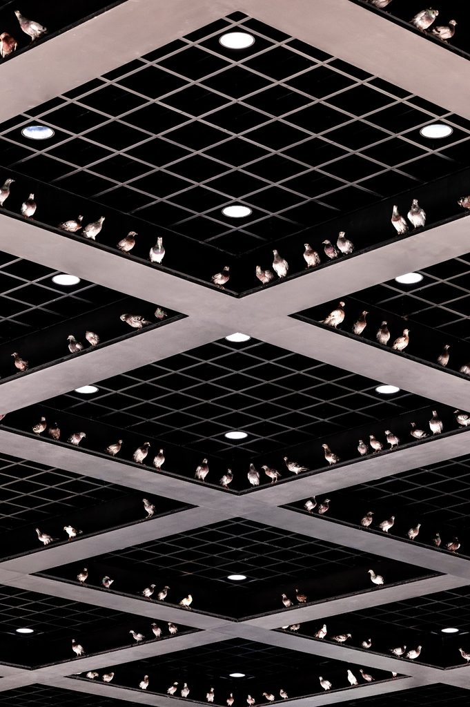 Maurizio Cattelan brings NIGHT to the Neue Nationalgalerie in Berlin -