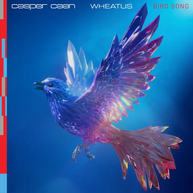 Casper Caan: Bird Song Casper Caan: Bird Song