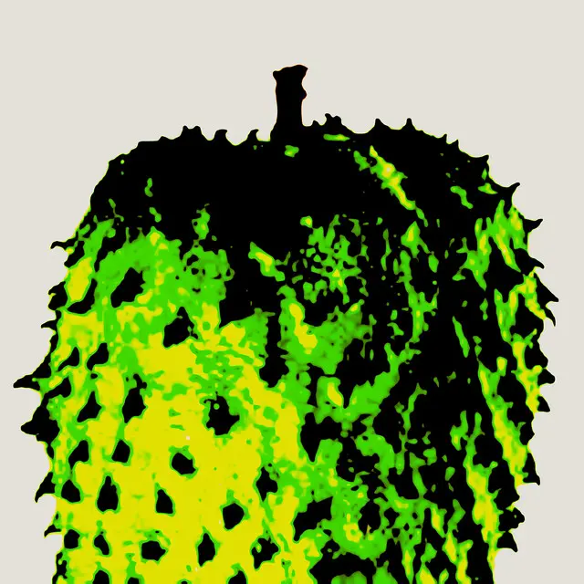 Ripe Soursop Ripe Soursop