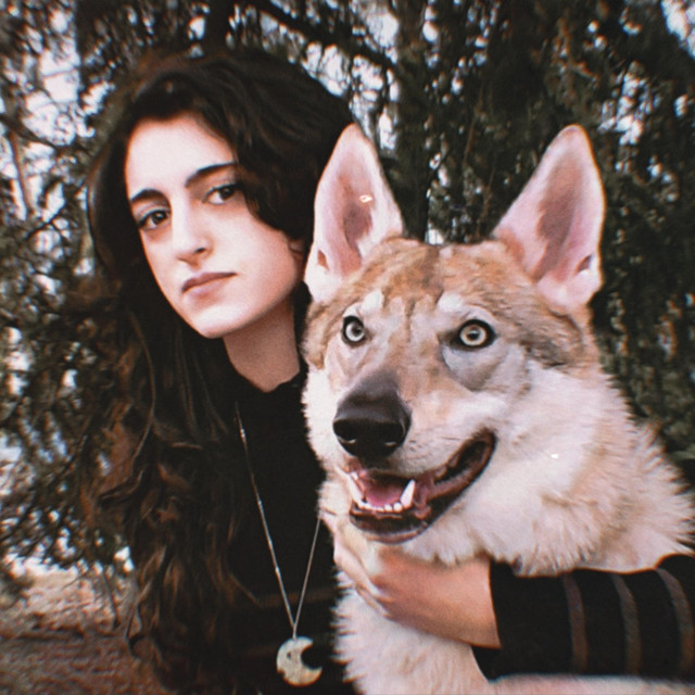 Starlight: The Last Wolf