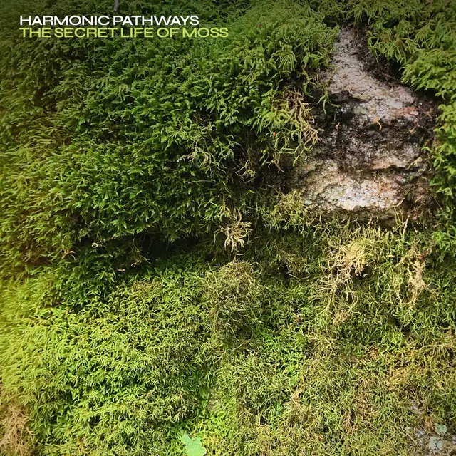 Harmonic Pathways: The Secret Life of Moss Harmonic Pathways: The Secret Life of Moss