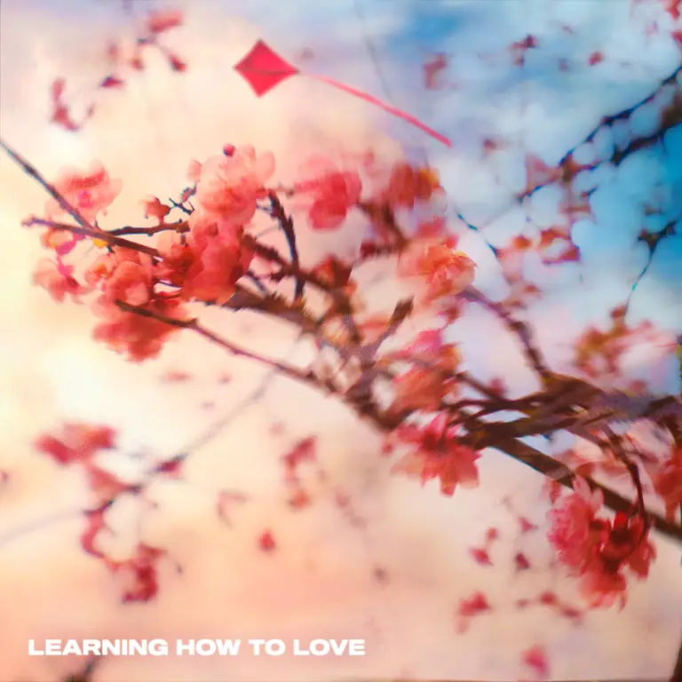 Hoang, Know AsNat: Learning How to Love Hoang, Know AsNat: Learning How to Love