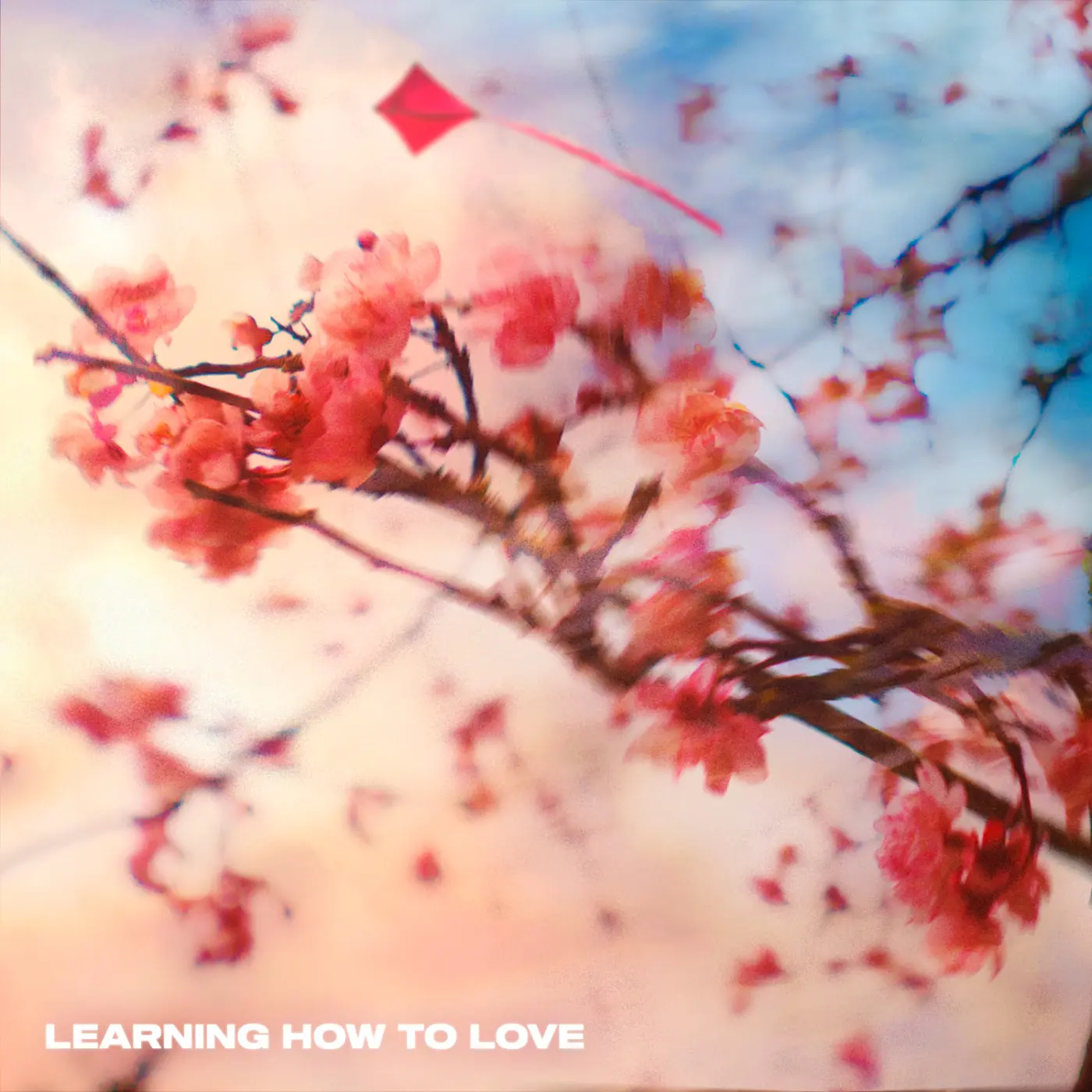 Hoang, Know AsNat: Learning How to Love Hoang, Know AsNat: Learning How to Love