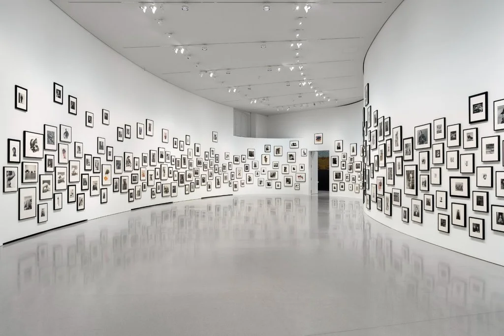 Pinault Collection celebrates 200 Years of photography at Bourse de Commerce 6