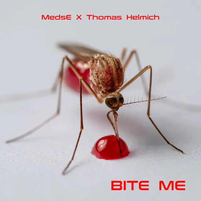 MedsE, Thomas Helmich: Bite Me